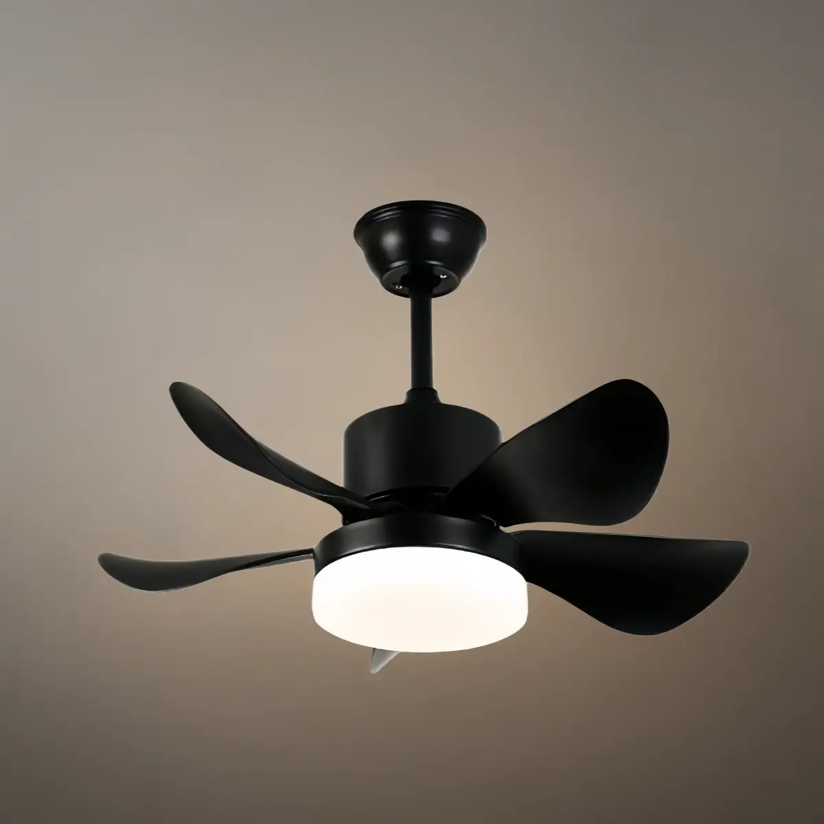 Zenno Minimalist Ceiling Fan Light